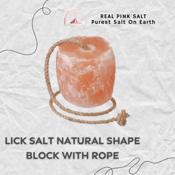 Cube Shape Lick Salt Block