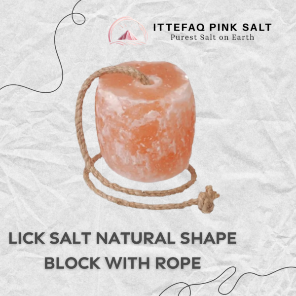 Natural Shape Lick Salt Block